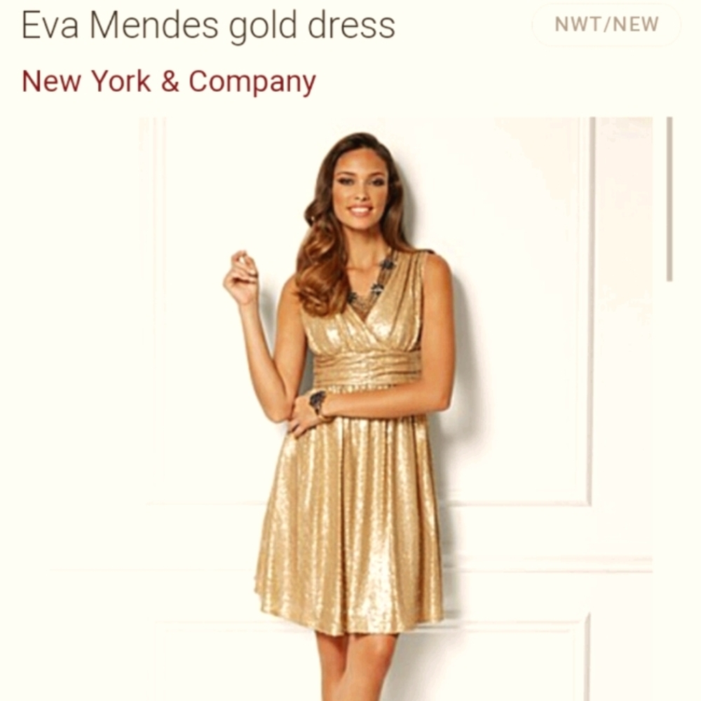 Eva Mendes New York and company Dress